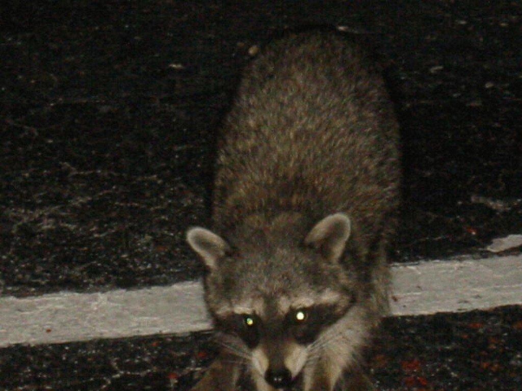 DJ KenThePartyMan FUBAR Nights photo 121 - fubarnights.com South Florida nightclub party